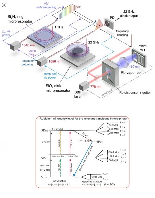 Vapor-Cell Atomic NMR-Gyroscope​